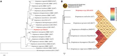 Streptomyces sp. JCK-6131 Protects Plants Against Bacterial and Fungal Diseases via Two Mechanisms